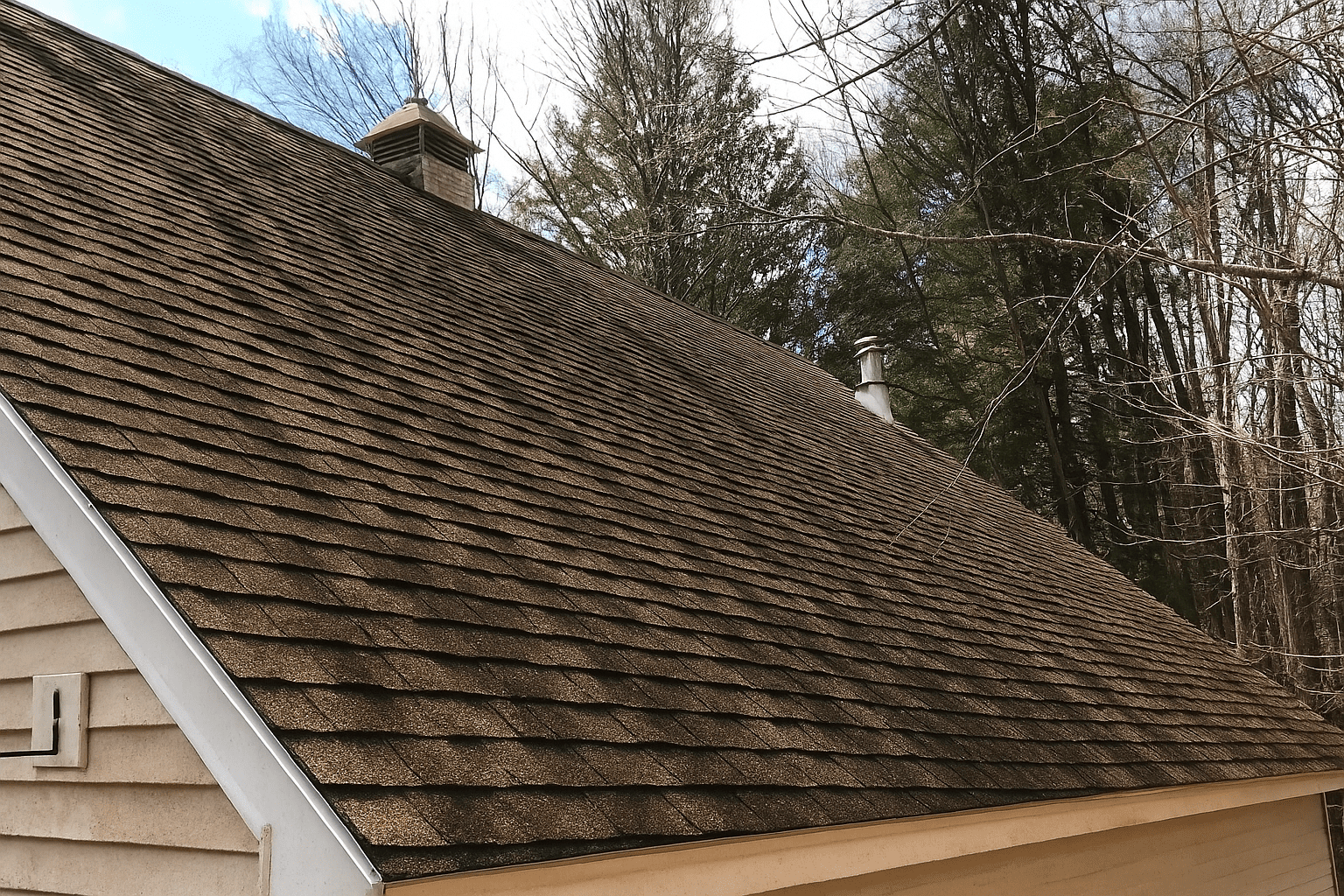 Guide to safely cleaning your roof in Florida