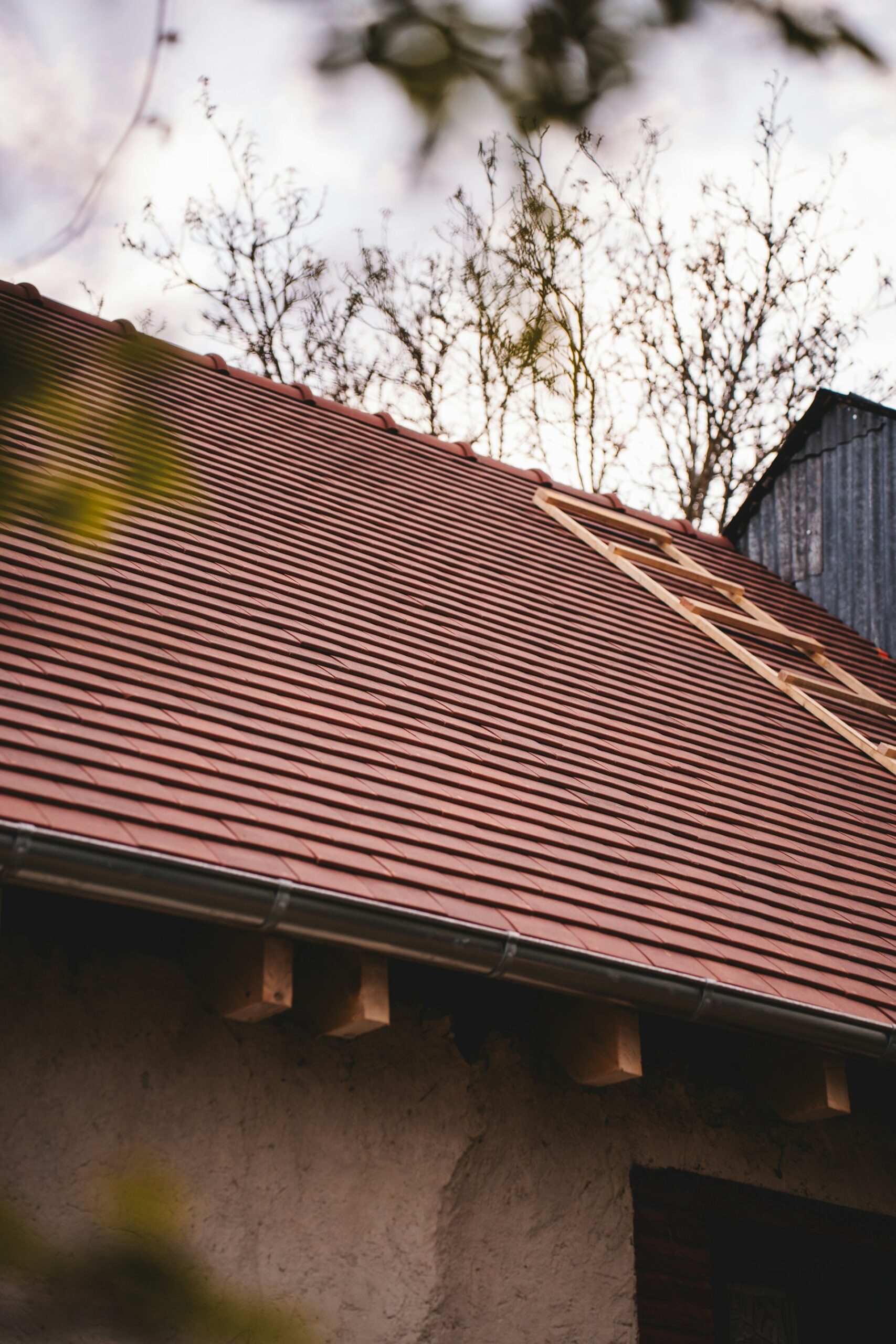 a roof of a house