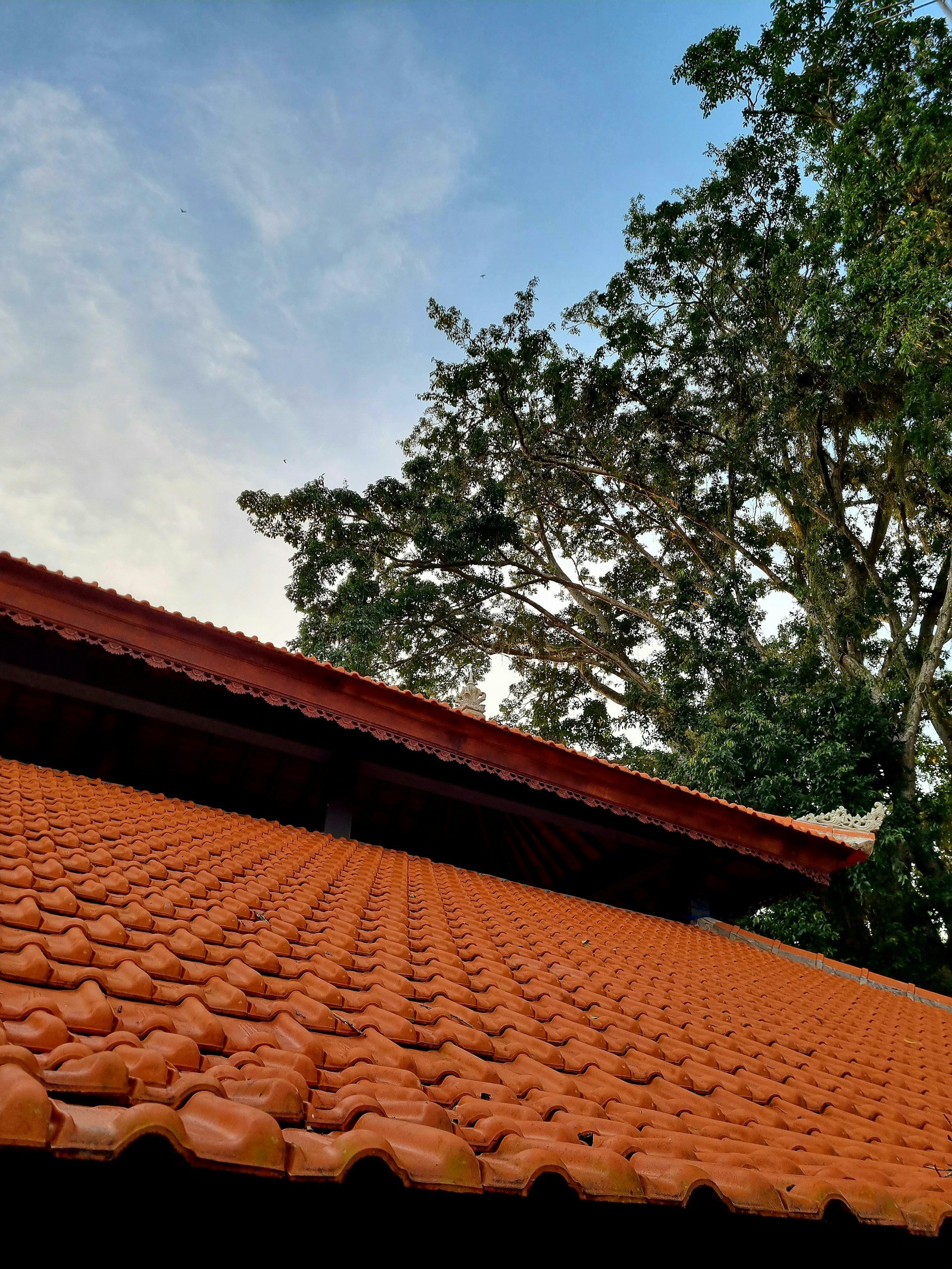 Shingle Roofing in Wellington, FL