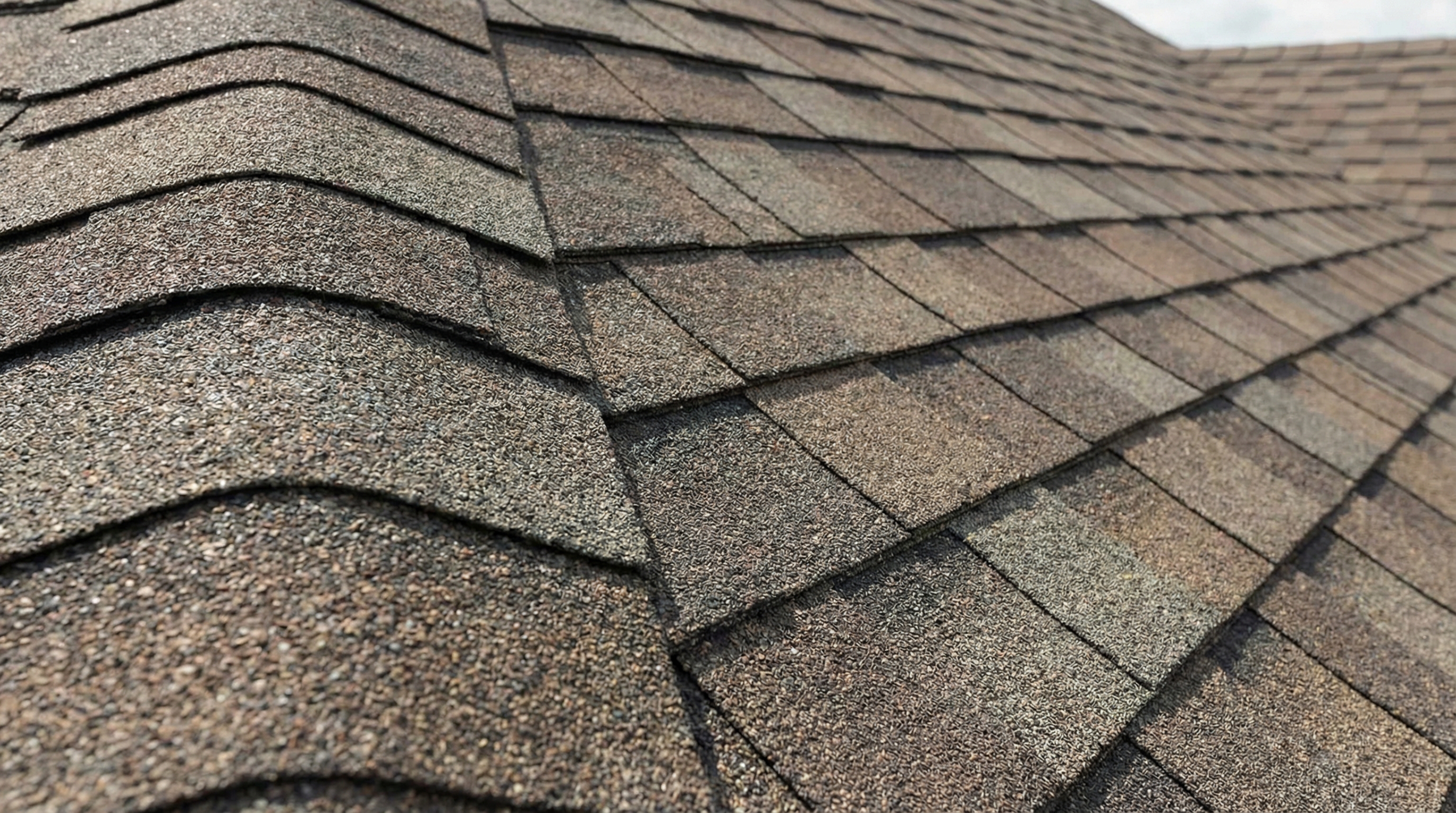 Architectural shingles installation in Florida