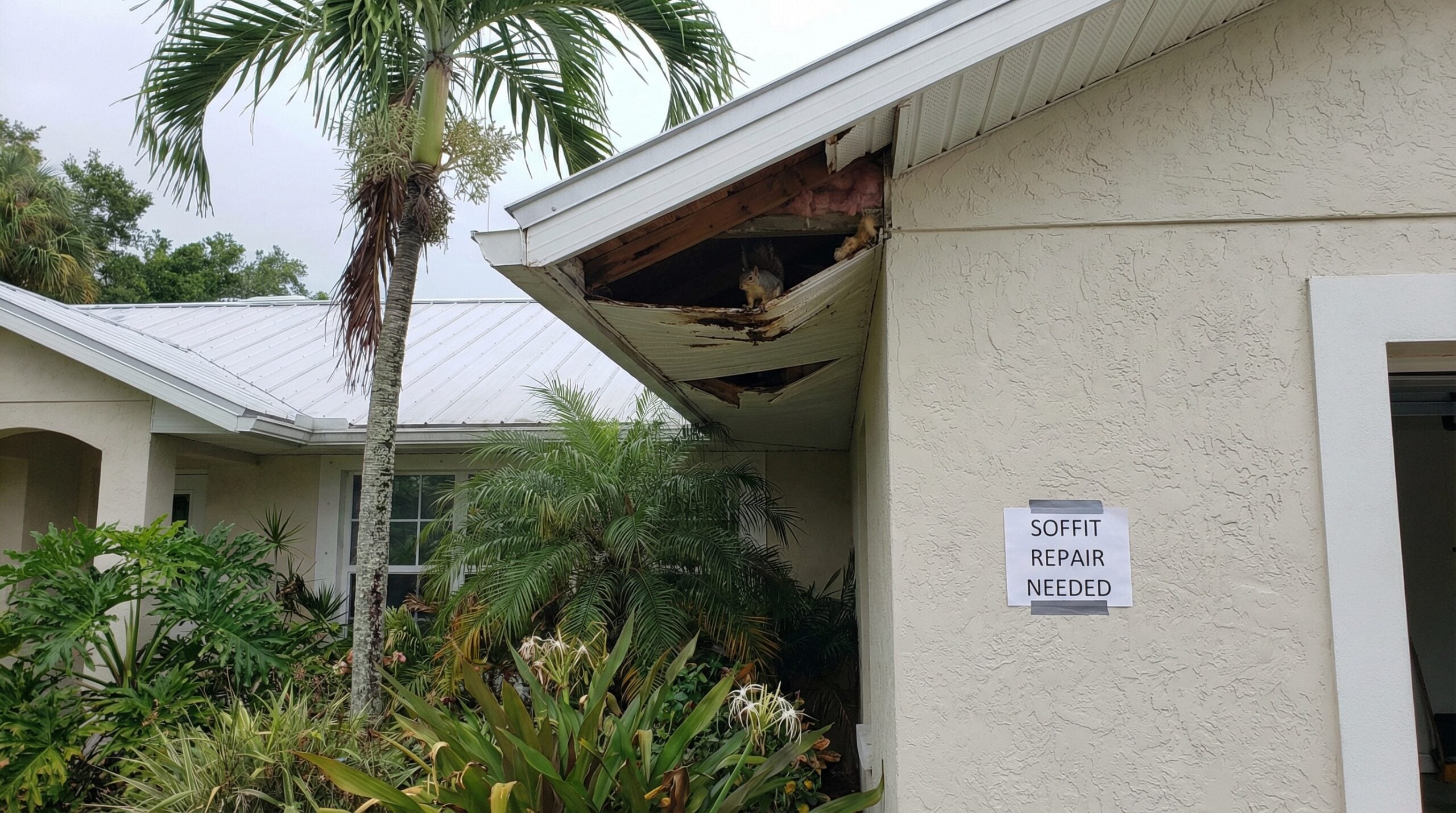 Damaged soffit on a Florida home in need of replacement
