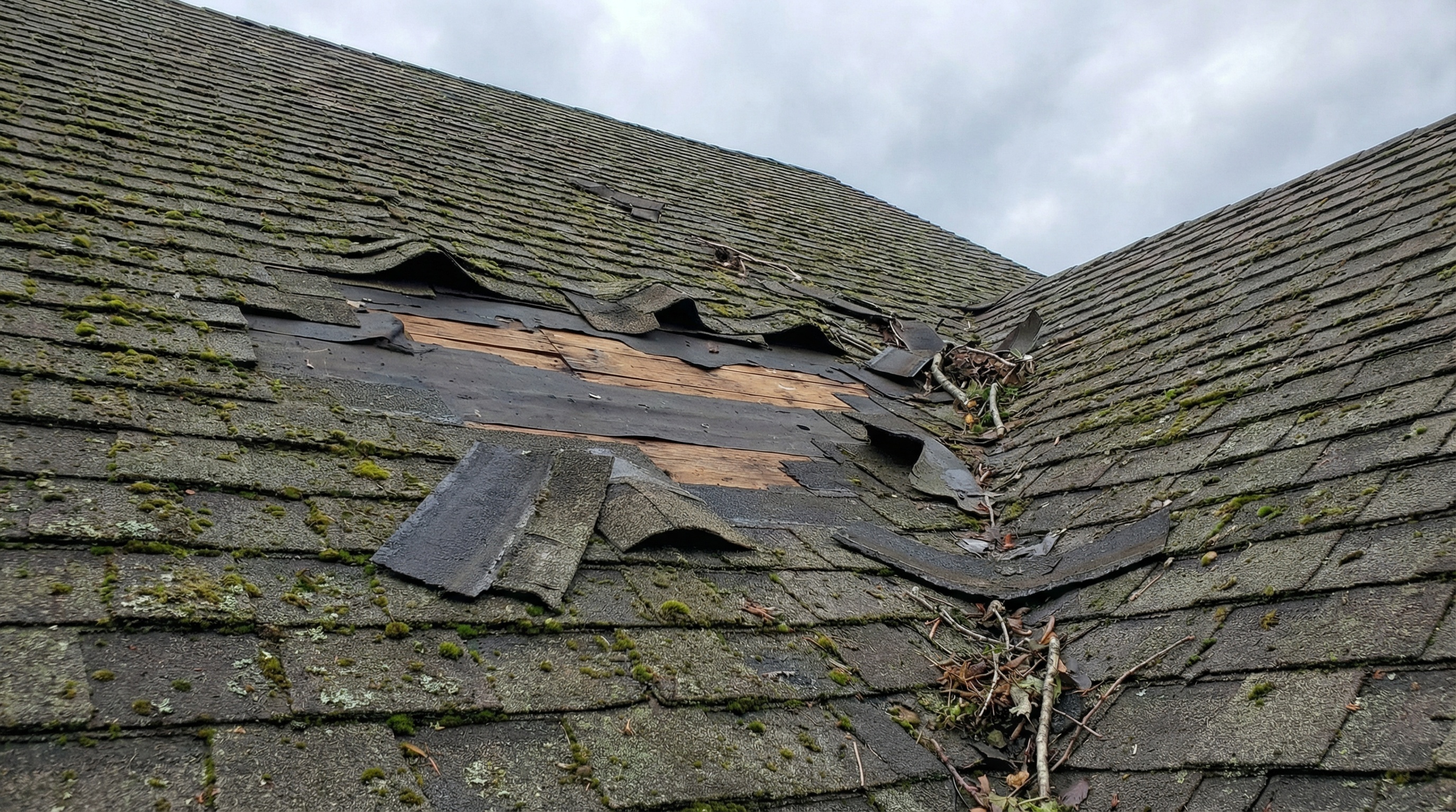 Close-up of storm damaged roof with missing shingles on Anna Maria Island home