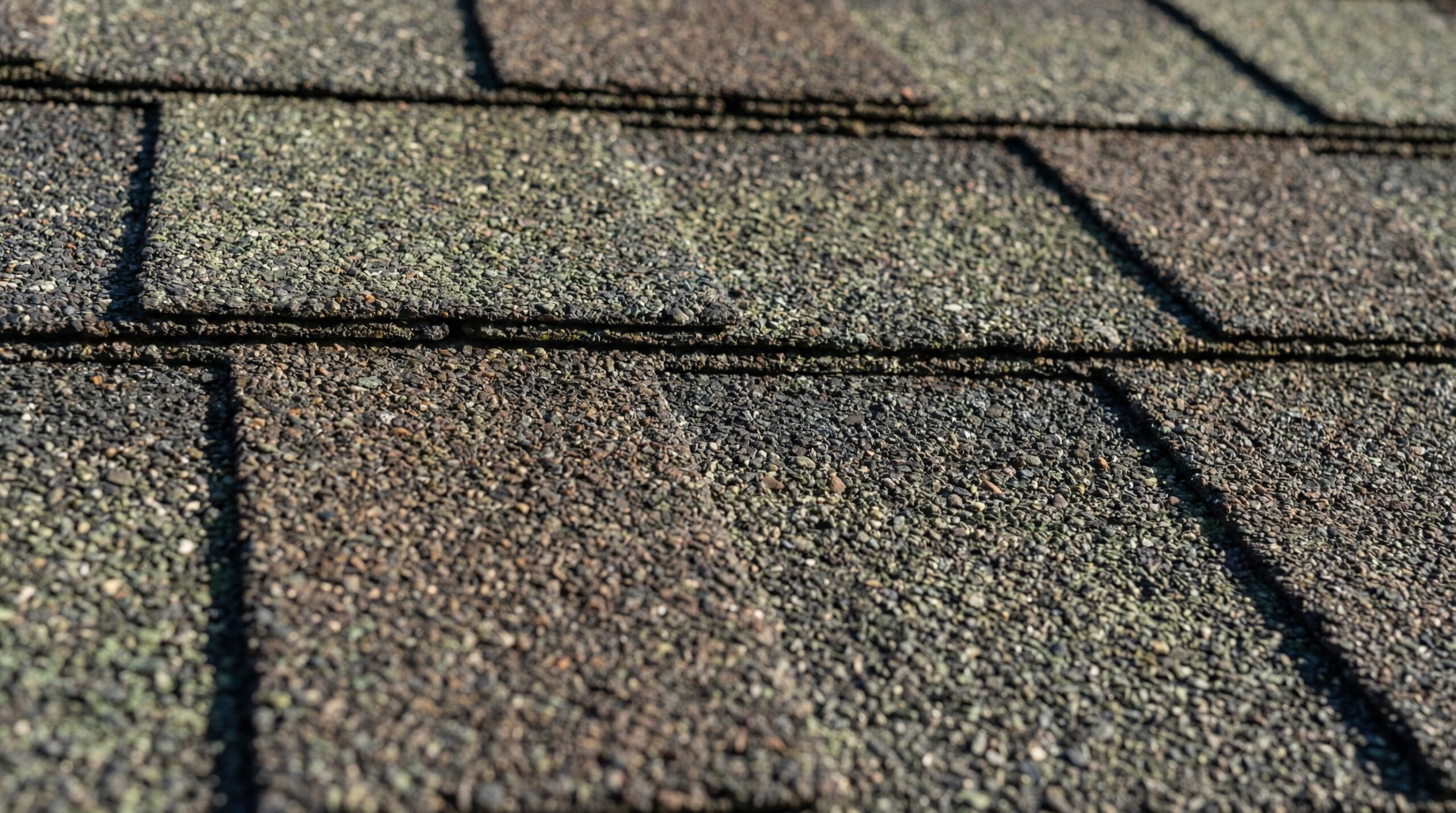 Close-up of architectural asphalt shingles showing dimensional texture and granules
