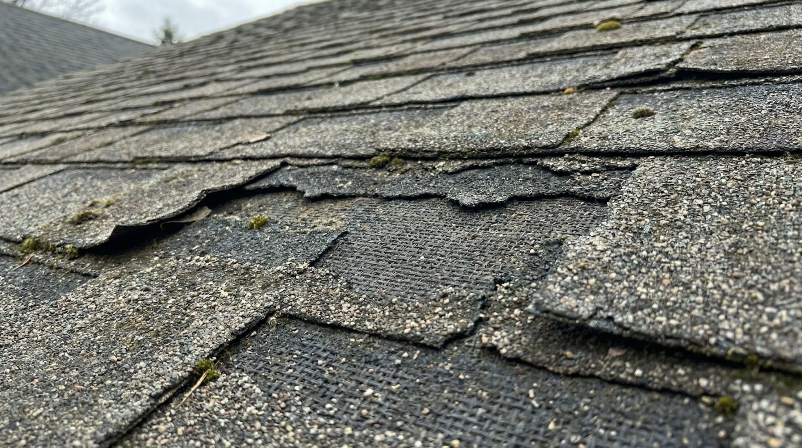 Close-up of damaged roof shingles showing granule loss and curling edges