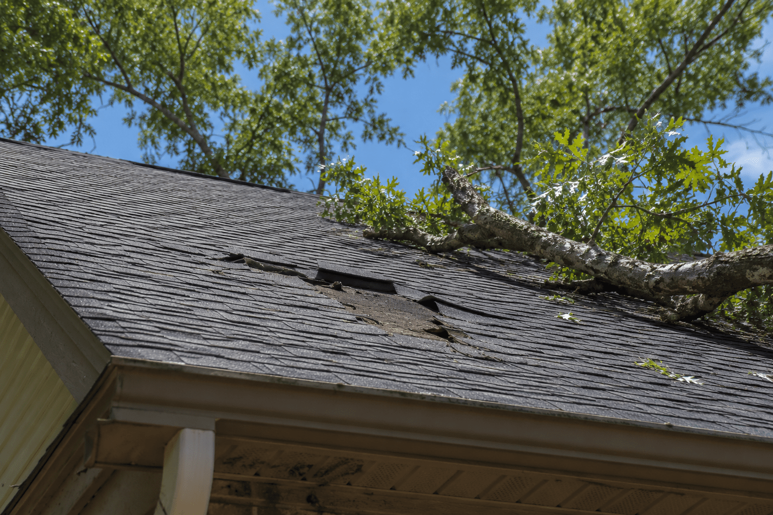 Guide to spotting roofing scams in Florida after a storm