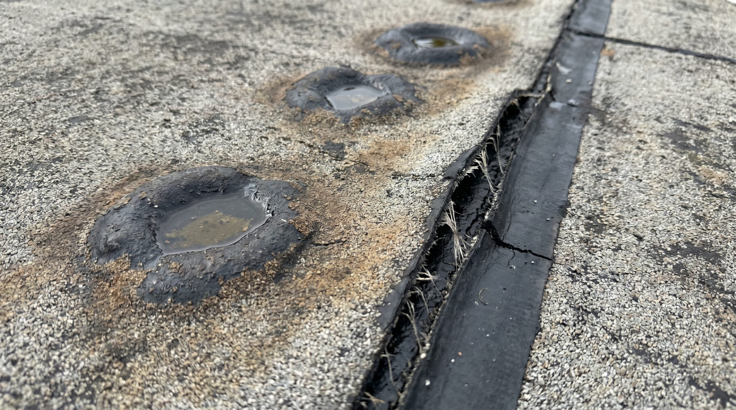 close-up of modified bitumen roof showing blisters pooling water and seam separation