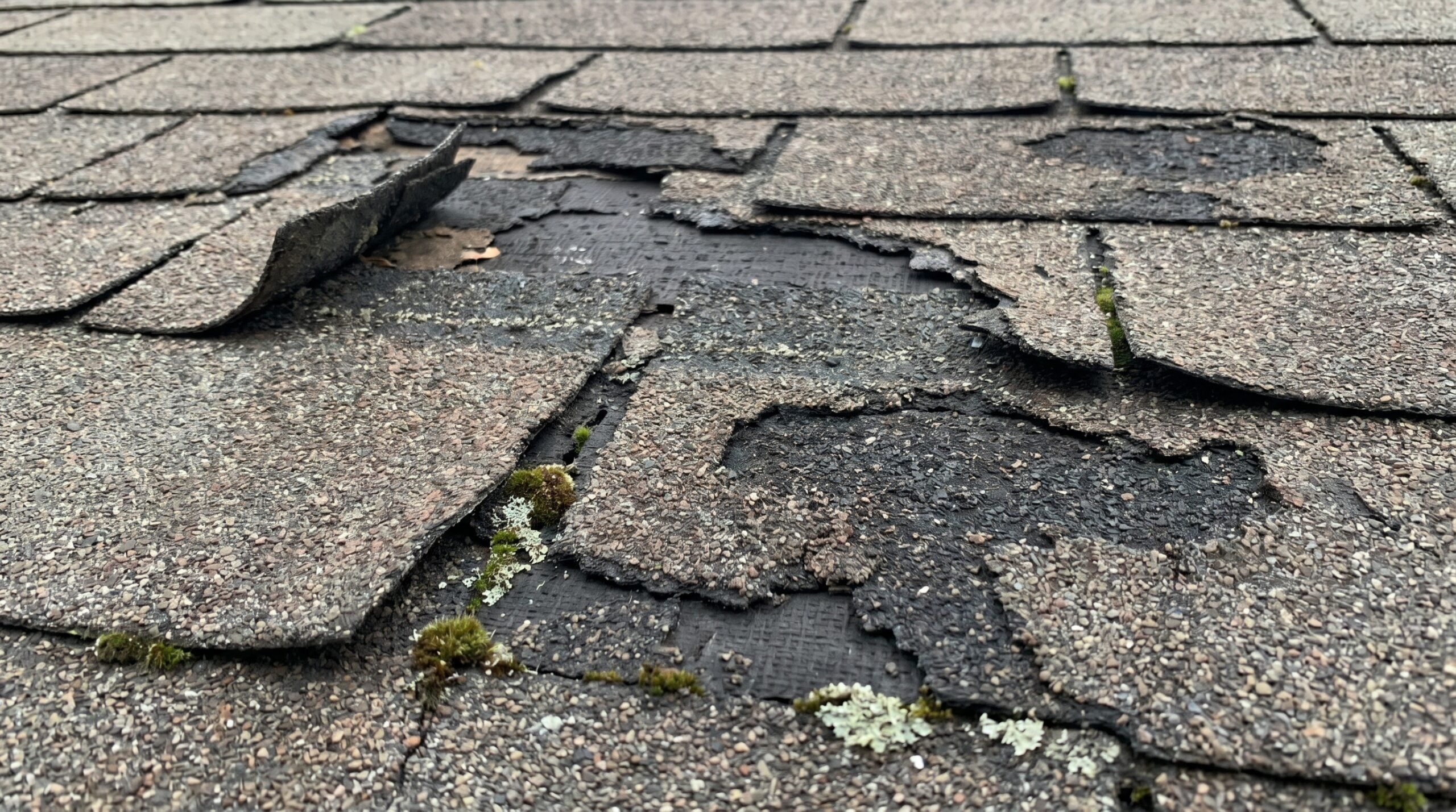 Close-up of damaged roof shingles showing curling, missing pieces, and granule loss